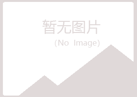 大连西岗白山制造有限公司